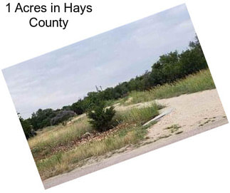 1 Acres in Hays County