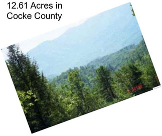 12.61 Acres in Cocke County