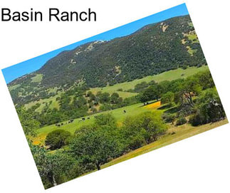 Basin Ranch