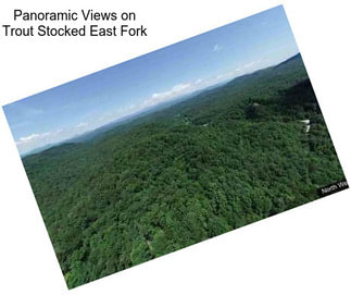 Panoramic Views on Trout Stocked East Fork