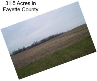 31.5 Acres in Fayette County