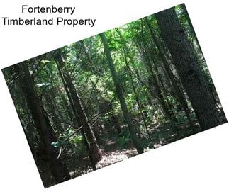 Fortenberry Timberland Property