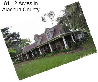 81.12 Acres in Alachua County