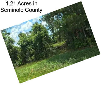 1.21 Acres in Seminole County