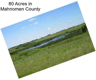 80 Acres in Mahnomen County