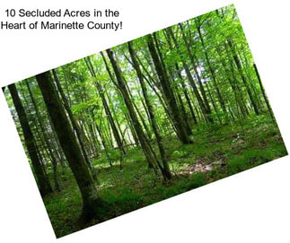 10 Secluded Acres in the Heart of Marinette County!