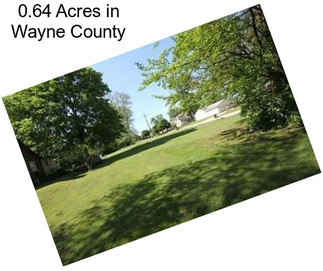 0.64 Acres in Wayne County
