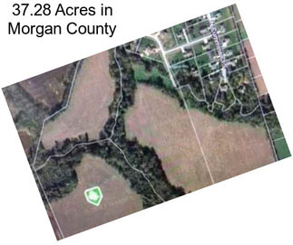 37.28 Acres in Morgan County