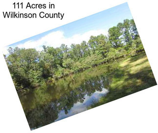 111 Acres in Wilkinson County