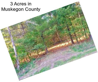 3 Acres in Muskegon County