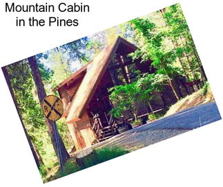 Mountain Cabin in the Pines