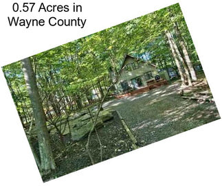 0.57 Acres in Wayne County