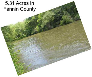 5.31 Acres in Fannin County