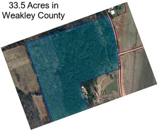 33.5 Acres in Weakley County