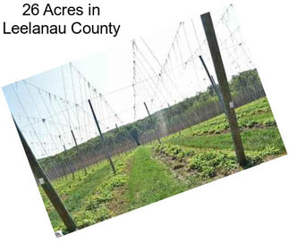 26 Acres in Leelanau County