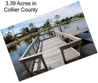 3.39 Acres in Collier County