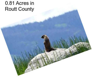 0.81 Acres in Routt County