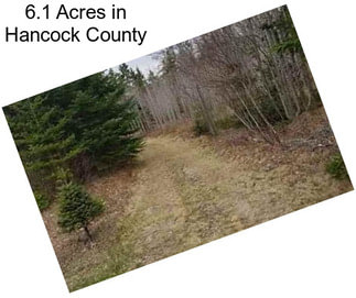 6.1 Acres in Hancock County