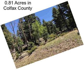 0.81 Acres in Colfax County