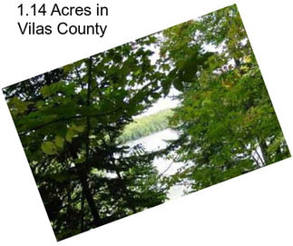 1.14 Acres in Vilas County