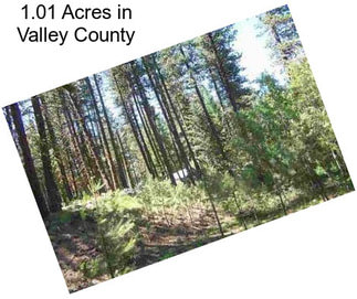 1.01 Acres in Valley County
