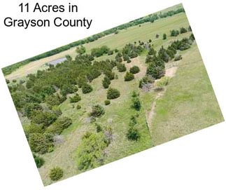 11 Acres in Grayson County