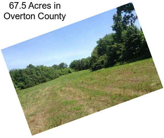67.5 Acres in Overton County