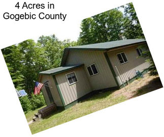 4 Acres in Gogebic County