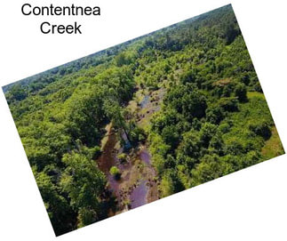 Contentnea Creek