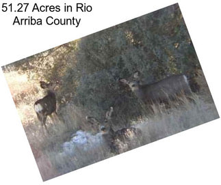 51.27 Acres in Rio Arriba County