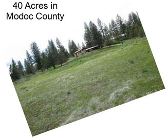 40 Acres in Modoc County