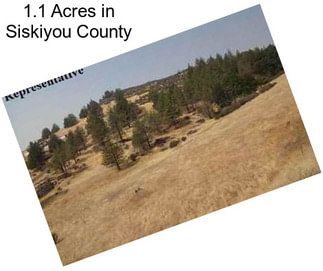 1.1 Acres in Siskiyou County