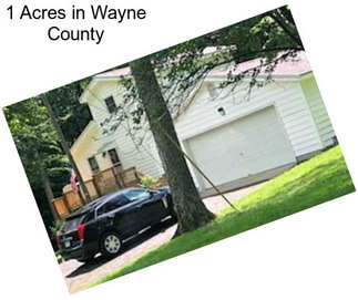 1 Acres in Wayne County