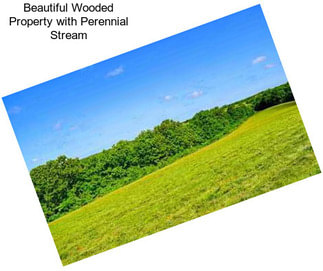 Beautiful Wooded Property with Perennial Stream