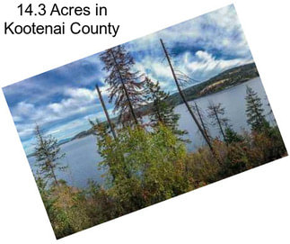 14.3 Acres in Kootenai County