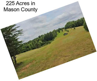 225 Acres in Mason County