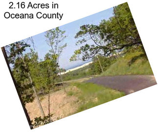 2.16 Acres in Oceana County