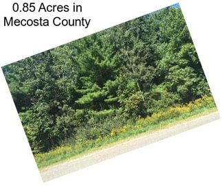 0.85 Acres in Mecosta County