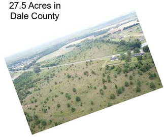 27.5 Acres in Dale County