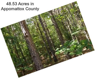 48.53 Acres in Appomattox County