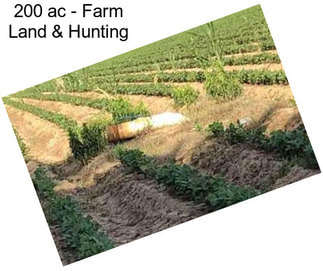 200 ac - Farm Land & Hunting