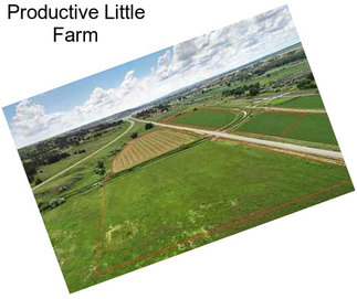 Productive Little Farm