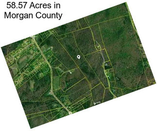58.57 Acres in Morgan County