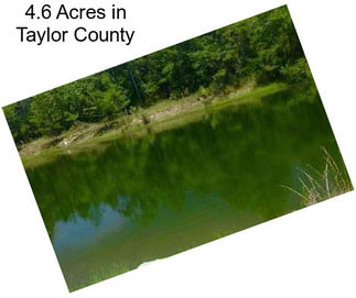 4.6 Acres in Taylor County
