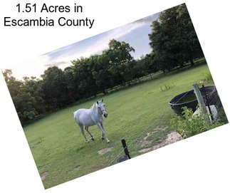 1.51 Acres in Escambia County