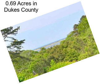 0.69 Acres in Dukes County