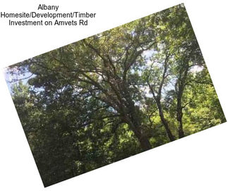 Albany Homesite/Development/Timber Investment on Amvets Rd