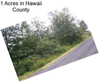 1 Acres in Hawaii County