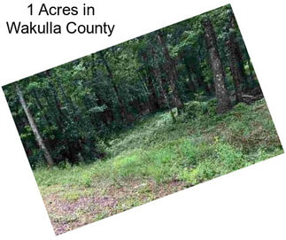 1 Acres in Wakulla County