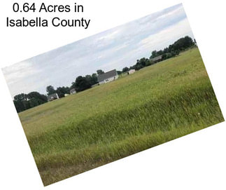 0.64 Acres in Isabella County